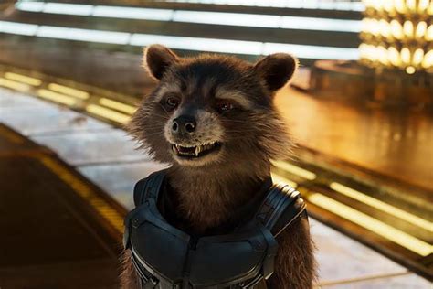 guardians of the galaxy showings|guardians of the galaxy fox.